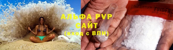 сатива Белокуриха