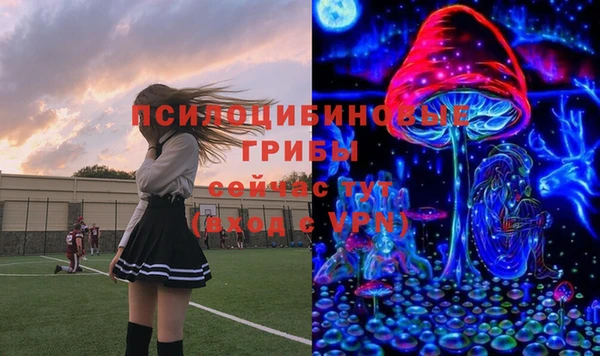ешки Балахна